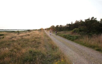 Mindfulness op de fiets: minder irritatie, meer genieten