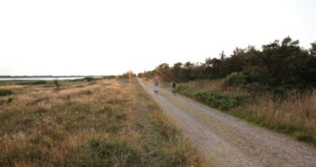 Mindfulness op de fiets: minder irritatie, meer genieten