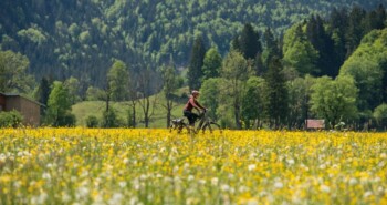 Tölzer Land: fietsgenieten tussen Alpen en Isar