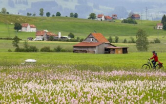 Appenzell: Een oase van oorspronkelijkheid en traditie