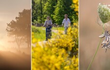 Route Heerlen: Zuid-Limburg op haar mooist