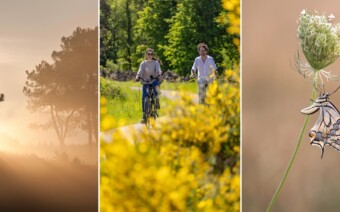 Route Heerlen: Zuid-Limburg op haar mooist