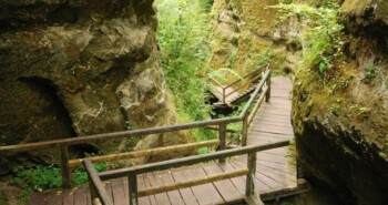 Fijne Duitse nieuwtjes voor het nieuwe jaar