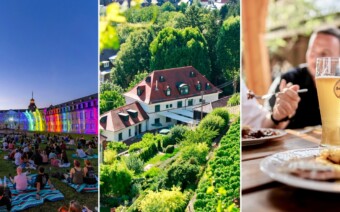 Karlsruhe: kunst, wijngaarden en bos in één citytrip