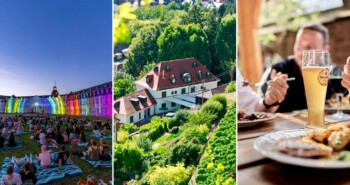 Karlsruhe: kunst, wijngaarden en bos in één citytrip