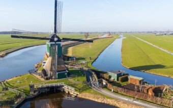 Knotwilgen en (koffie)molens