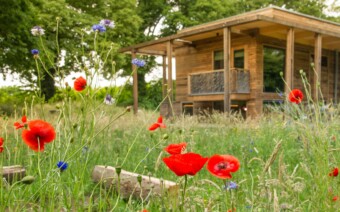 Top tip voor e-bikers in de Achterhoek: Paviljoen Esch