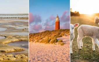 6x Waarom naar de Wadden dit voorjaar