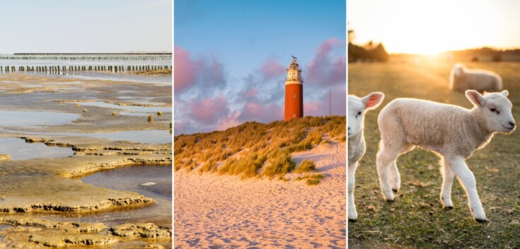 6x Waarom naar de Wadden dit voorjaar