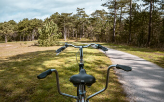Lente op Vlieland: nieuwtjes en tips