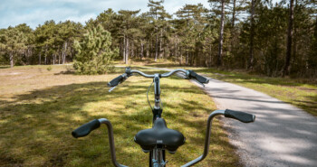 Lente op Vlieland: nieuwtjes en tips