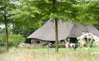 Voorjaar op landgoed De Hoevens (met korting!)