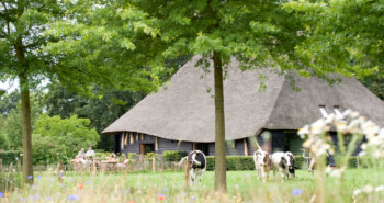Voorjaar op landgoed De Hoevens (met korting!)