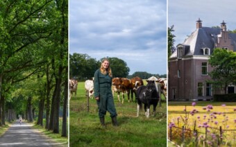 Route Holten