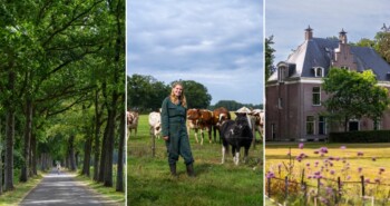 Route Holten
