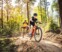 Zoek de kabouters – Een kleine collectie kinderroutes