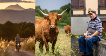Fietsen in de Auvergne: tussen slapende vulkanen