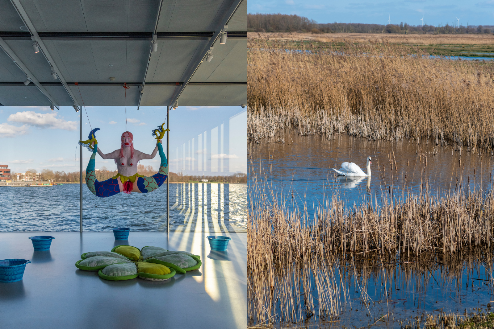 Fotocollage van kunst in Kunstlinie Almere en zwanen tussen het riet in de Lepelaarplassen.
