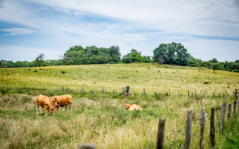 Fietsroute Kerkrade: heuvelen door Zuid-Limburg