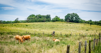Fietsroute Kerkrade: heuvelen door Zuid-Limburg