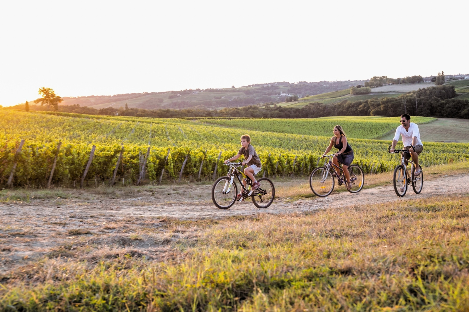 Drie fietsers rijden over een landweg tussen de wijngaarden in de omgeving van Bordeaux.