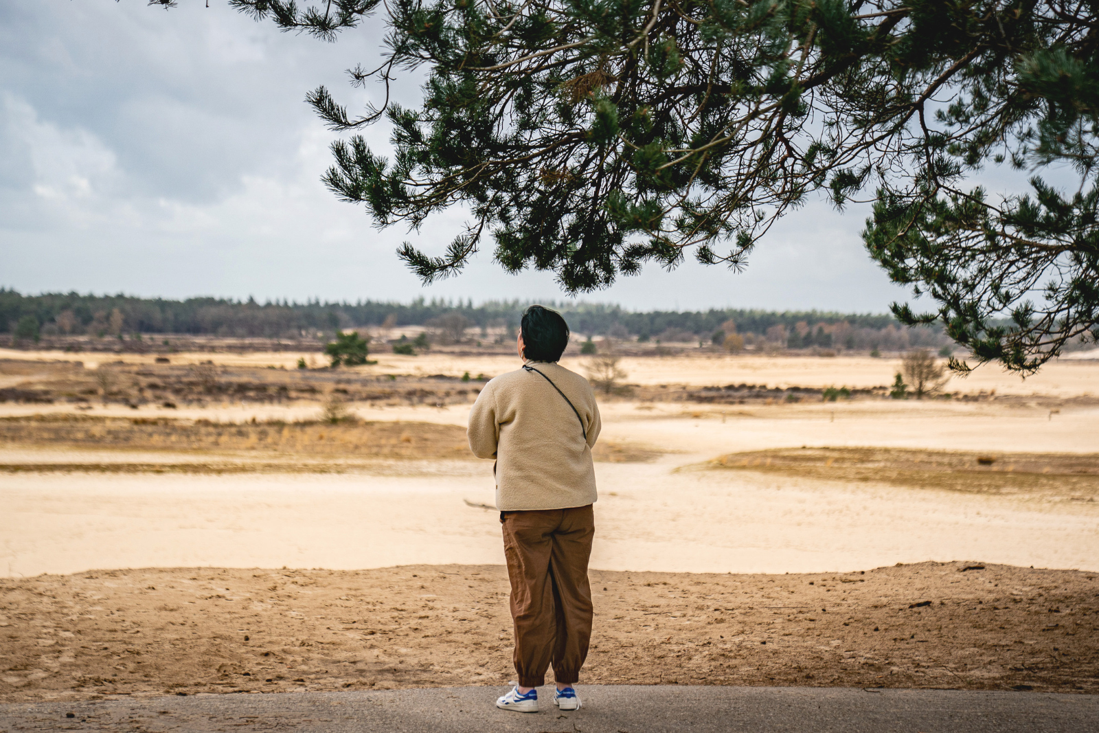 Bezoeker kijkt uit over het uitgestrekte stuifzand van de Loonse en Drunense Duinen, ook wel de Brabantse Sahara genoemd.