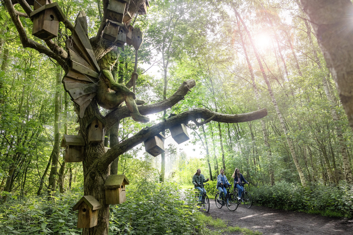 Drie fietsers rijden door het Bergmolenbos in Roeselare langs kunstwerk De Elfenkoningin.