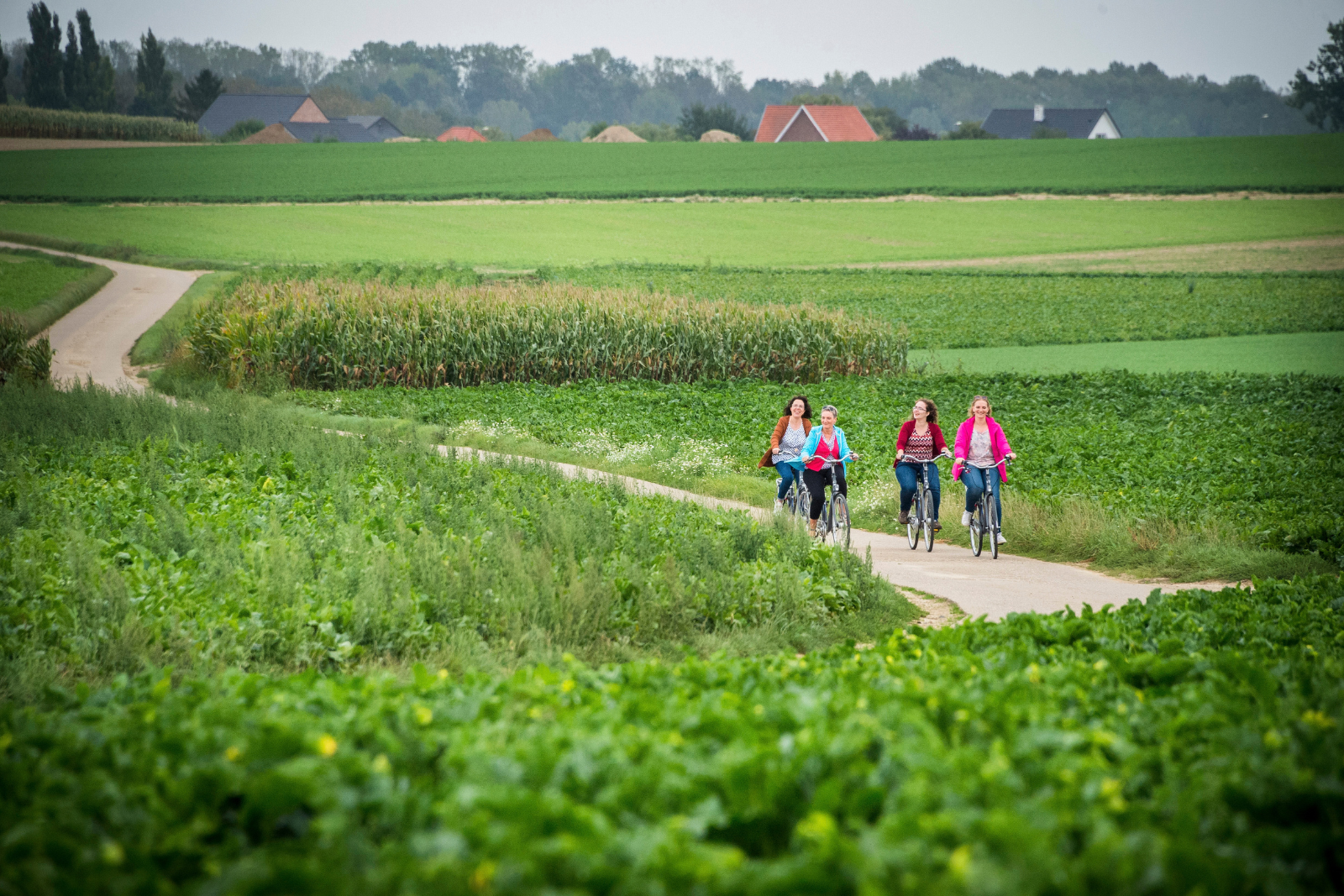 Vier fietsers rijden door het groene landschap bij Neervelp op de Hagelandse Streekroute.