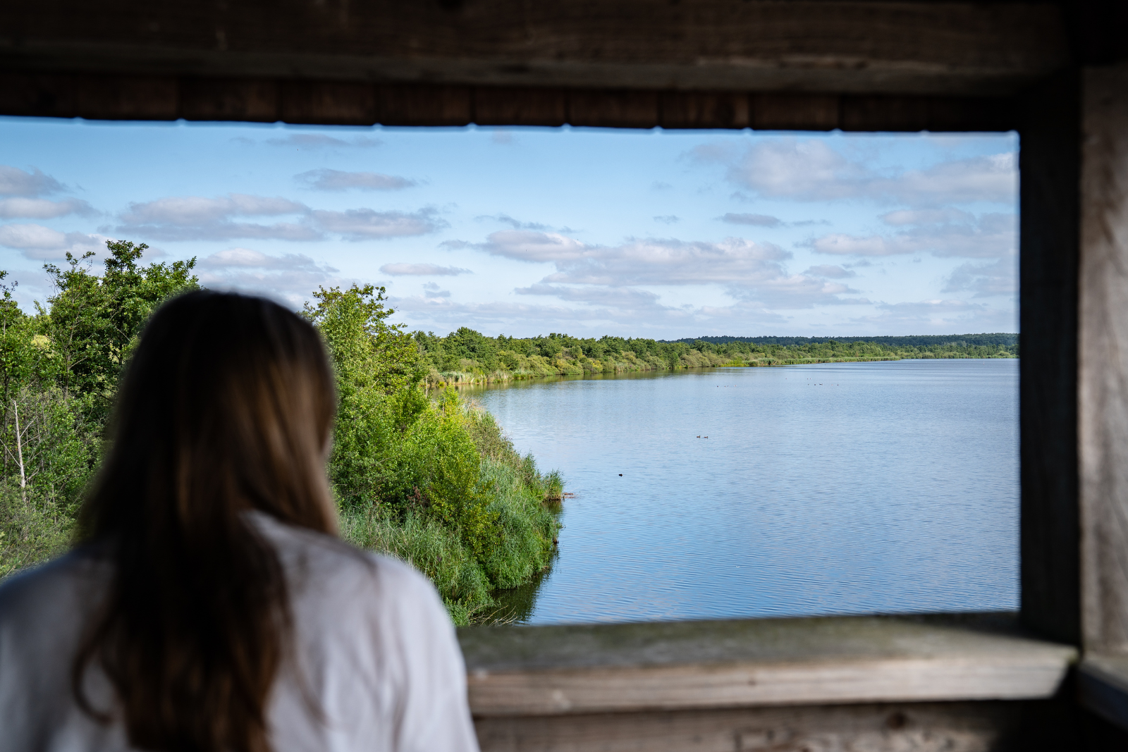 Vrouw kijkt vanuit een uitkijkpunt uit over het Steinhuder Meer en de groene oevers.